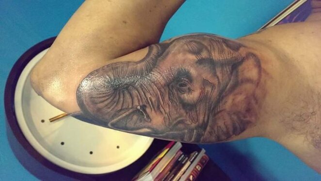 der schotte sascha Ruhrpott styleink tattoo realistischer elephantenkopf.jpg